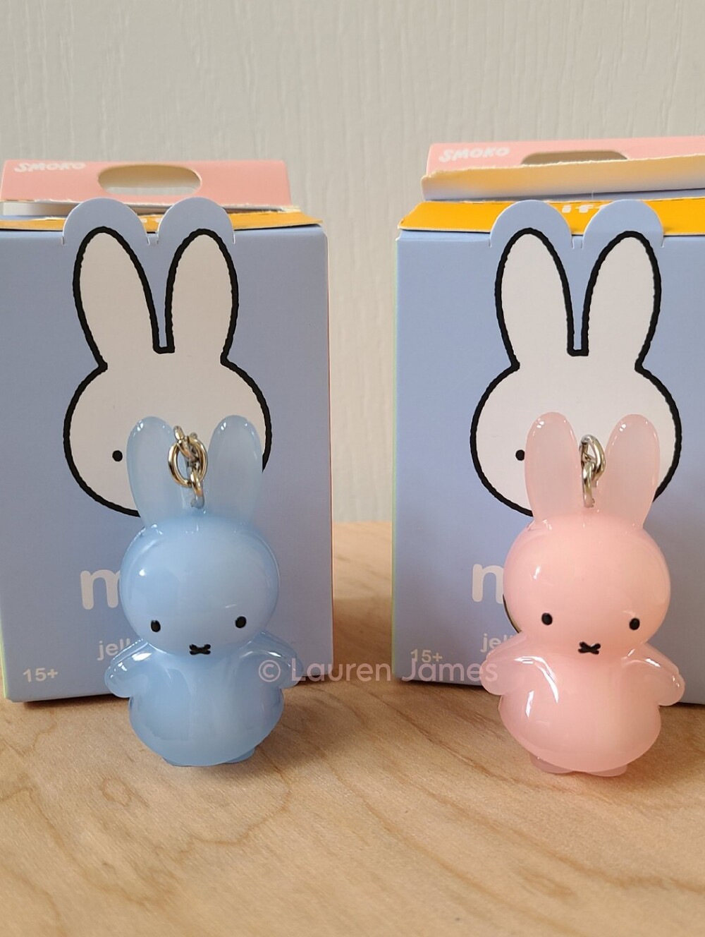 Miffy Jelly Keychain Blind Box Set of 2